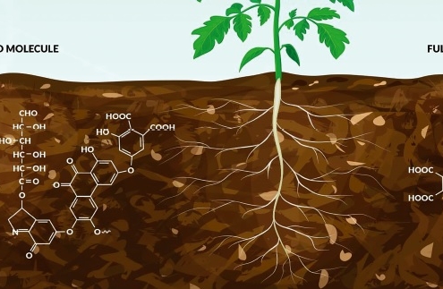 Humin- és fulvosavak multiplex vizsgálata paprikapalánta nevelésében
